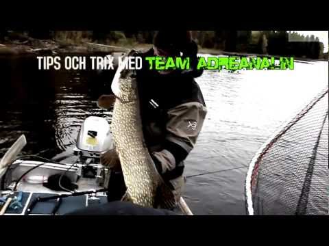 Gäddfisketips och -trix med Team Adrenalin (Pike fishing tips and tricks with Team Adrenalin )