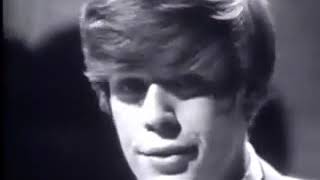 Hermans Hermits - Mrs  Brown You&#39;ve Got A Lovely Daughter (1965)