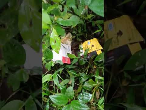 Cachoeira Palomar em Juquitiba sofre com os despachos não retirados, colaborem com o equilíbrio.