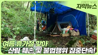 여름 휴가철 산림훼손 및 불법행위 집중단속