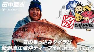 春の乗っ込みタイラバ 新潟直江津沖ディープで答えを出す一手とは？ / 田中亜衣