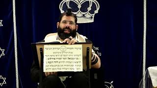 דף היומי שבועות דף ל"ח ע"א ¤ הרב נתנאל אברז'ל ¤ בית הכנסת "בית מרדכי" (מוסדות תורת דוד) - התמונה מוצגת ישירות מתוך אתר האינטרנט יוטיוב. זכויות היוצרים בתמונה שייכות ליוצרה. קישור קרדיט למקור התוכן נמצא בתוך דף הסרטון