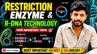 Action of Restriction enzyme ☠️ | Molecular scissor✂️ | Biotechnology 😎| Recombinant DNA | Neet ||