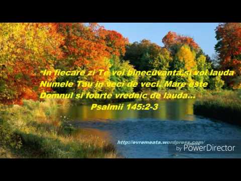 Daniel Varan- Pentru ca dragostea