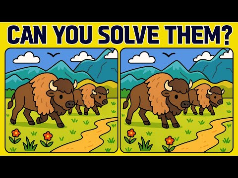 Spot the Difference 5 Calm Puzzles to Unwind and Focus (Normal)