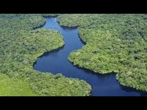 El río Congo: profundo y peligroso | Grandes documentales