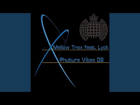 Phuture Vibes 09 (DJ DLG Remix)