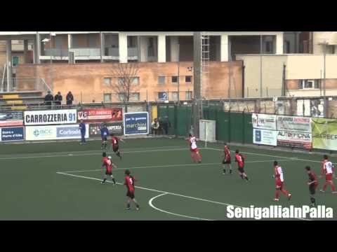 SenigalliaInPalla: Vigor Senigallia-Matelica (HD)