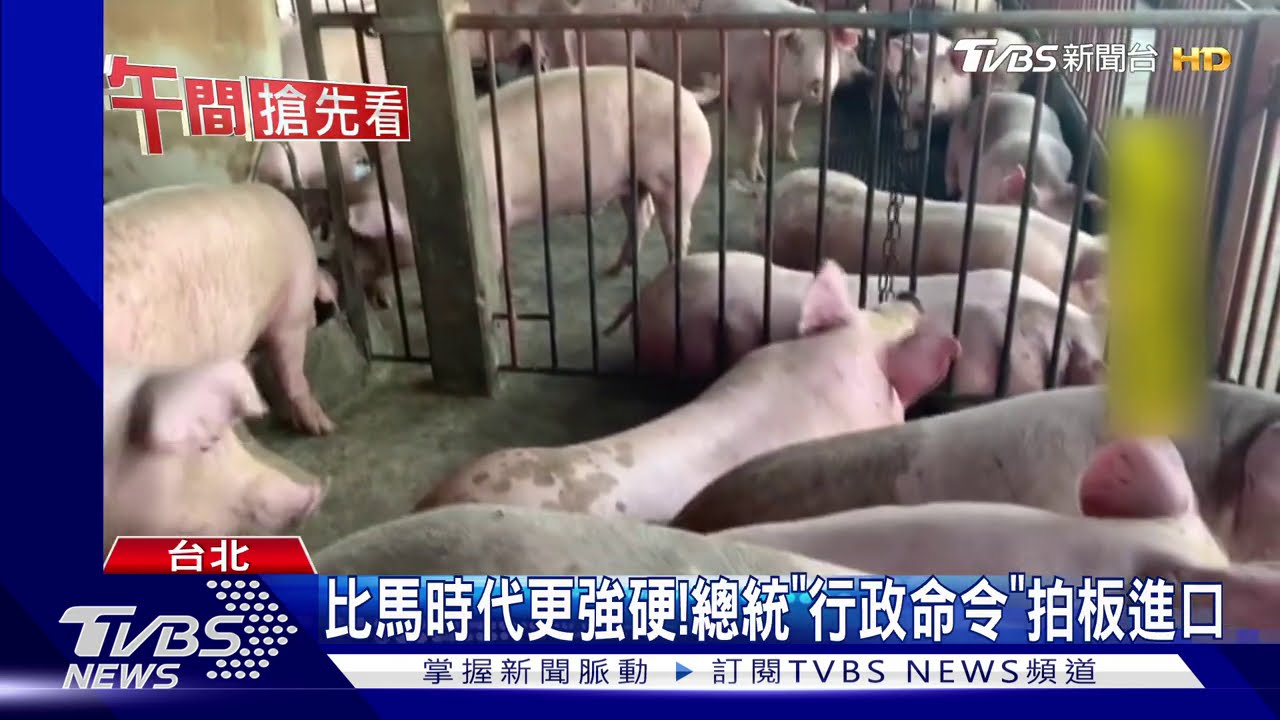 轟綠昨是今非！美豬牛進口　藍狂翻昔言論