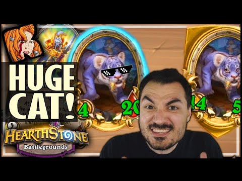 THE BIGGEST CAT EVER! - Hearthstone Battlegrounds