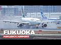 ️ COOL CLOSE UP ACTION 20 Minutes Plane Spotting At Fukuoka FUK RJFF