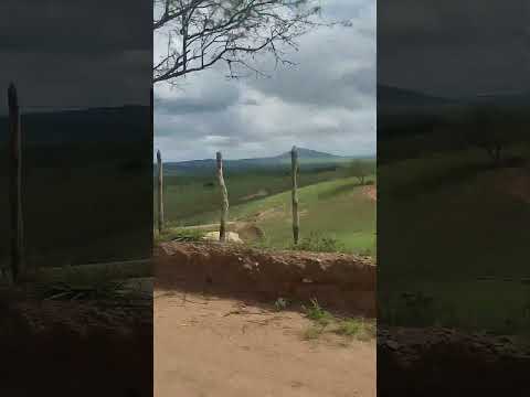 @várzea da passira Pernambuco 🥰#