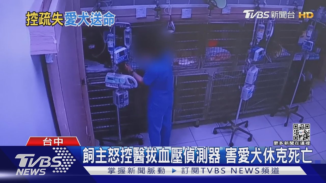 飼主怒控醫拔血壓偵測器 害愛犬休克死亡