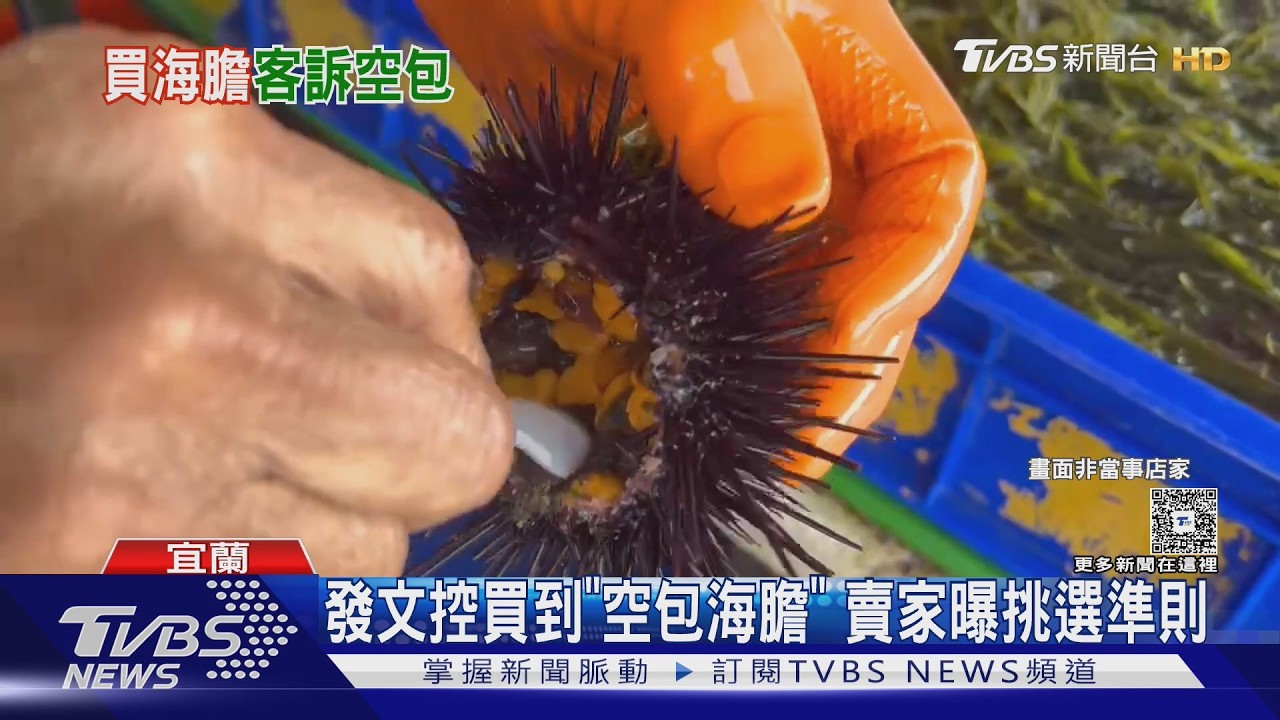 影音／馬糞海膽剖開沒肉！攤商曝「1動作」避免當冤大頭