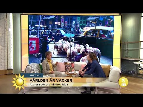 Reseproffsets 6 tips för att upptäcka världen  - Nyhetsmorgon (TV4)