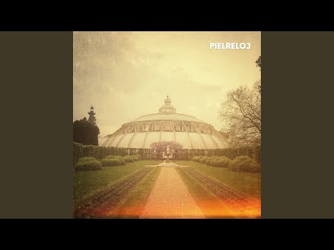 Het Paleis (den Haag) - Piel Reloj