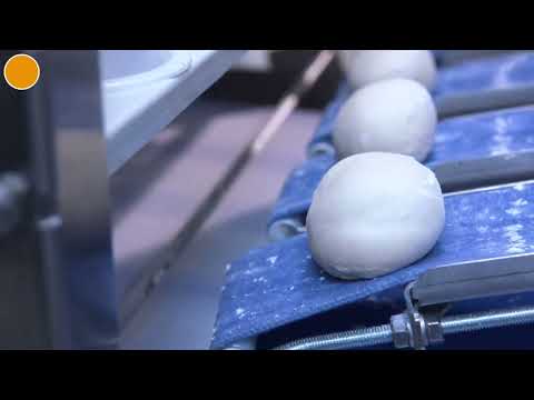 WP Formprofi Eco P240314182