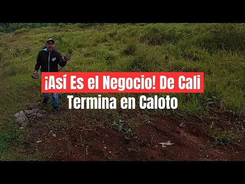 Las roban en Cali, las venden en Caloto Cauca 🚨🛵🔥