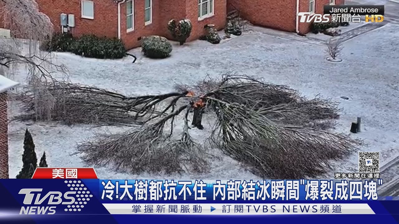 負北極振盪發威!美1.9億人凍爆 密西根驚現「樹幹爆裂」
