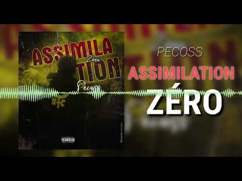 Pecoss - Assimilation zéro(Audio)