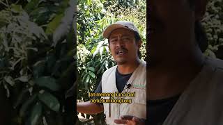 Download lagu Tanam Kelengkeng Wajib dibooster mp3