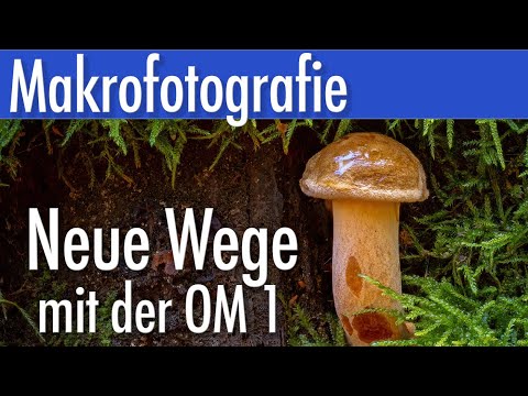 Neue Wege bei mir mit der OM-1 in der Makrofotografie