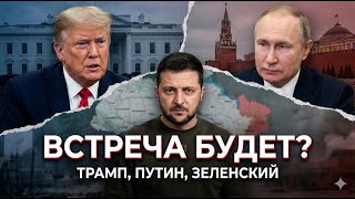 Донбасс в обмен на мир? О чем на самом деле договорились Трамп и Зеленский