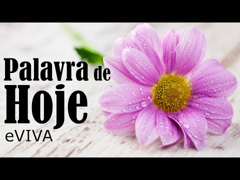 WORD OF THE DAY OCTOBER 25, 2023 | DAILY DEVOTIONAL | MOTIVATIONAL AND LIFE REFLECTION eVIVA