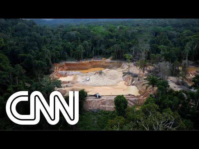 Yanomamis vão ao STF para Senado não realizar audiência com garimpeiros | VISÃO CNN