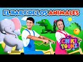 El Baile De Los Animales Chiki Version Música Para Niños Videos Infantiles ChikiToonz