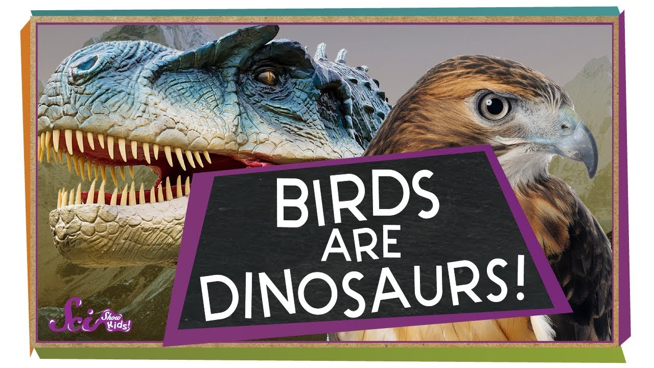 It's a Bird! It's a Plane! It's a DINOSAUR! - YouTube video featuring the word hard time