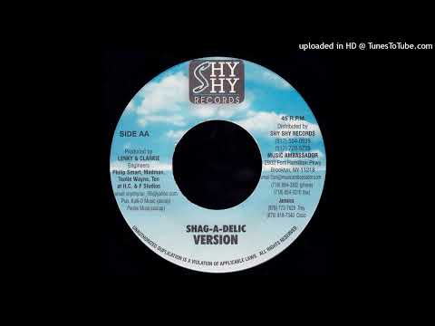 Lenky & Clarkie - Shag-A-Delic Version