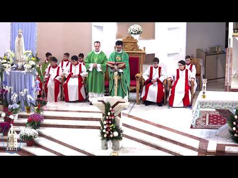 LIVE - Biserica Romano-Catolică "Sfinţii Petru şi Paul" Bacău