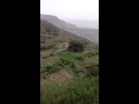 الغيلي ٢٠١٣