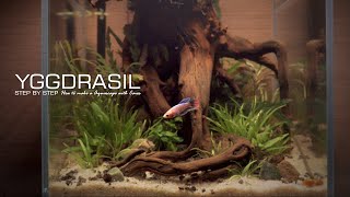 Make Betta Aquarium l Where Is Three Legs' Frog  l Make Jumping Spider Home