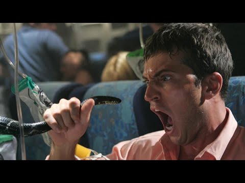 Snakes on a Plane | Full Movie Verdict And Information | Samuel L. Jackson, Julianna Margulies