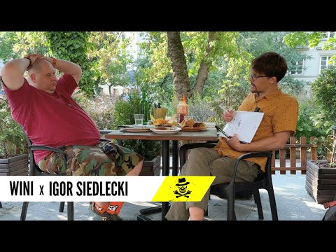 WINI x IGOR SIEDLECKI - rozmowa | Co robią mrówki w wolnym czasie? Rozmowa z myrmekologiem.