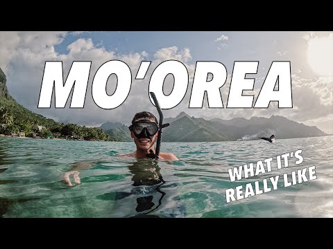 Mo'orea Island Life: What It’s Really Like 🇵🇫 | French Polynesia Travel Vlog