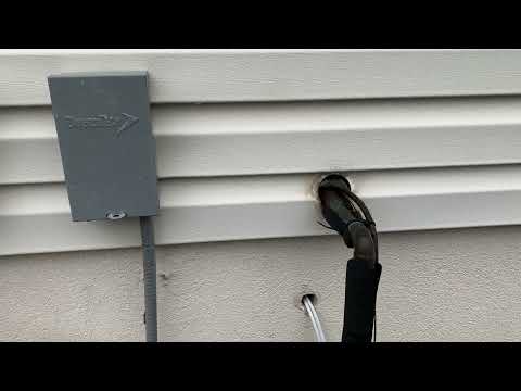 Yellow Jackets Nest in Opening in Utility Pipe in Fair Haven, NJ