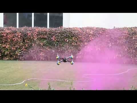 Aerobatic Quad Drone