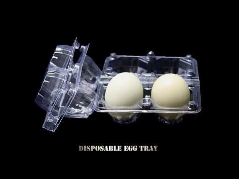 Six Egg Tray