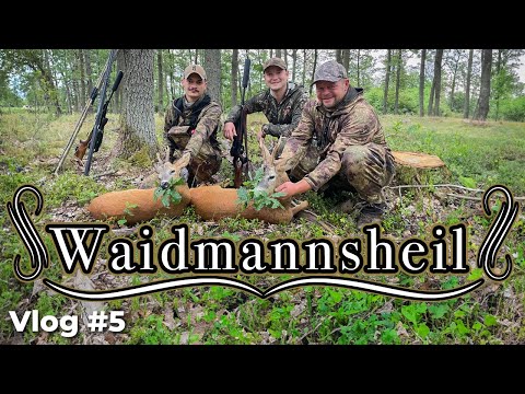 Blattjagd Tipps im Laubwald von Österreich - Video Tagebuch 5 - Blattjagd Serie #nordjagd