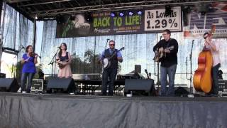 The Squirrel Hunter- Blue Edition (bluegrass) at Unicoi County Apple Festival 4 October 2013