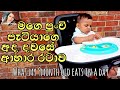 what my 9 month old baby EATS IN A DAY (Sinhala) | මාස 9 පුංචි පුතාගෙ දවසේ ආහා