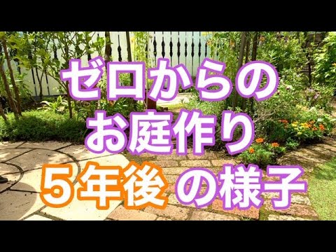 都市菜園用ミニトマト2022