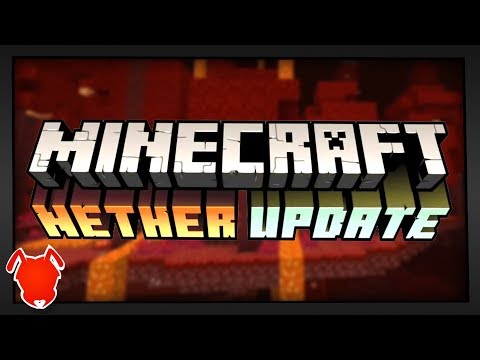 Minecraft 1.15 & 1.16, the updates I ALWAYS wanted!