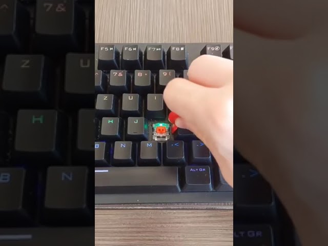 Vídeo relacionado con 6 Kit de Cepillo Antiestático, Limpieza Teclado de Plástico de Nylon, Brochas de Limpieza para Teclado Ordenador Placa Base