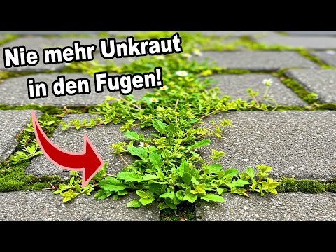 Was wirklich dauerhaft gegen Unkraut in den Fugen hilft!
