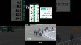 [경마] 축마가 안 보여~