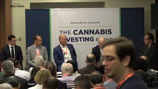 Investing in the Cannabis Industry? What Is Next, Now That the Hype Is Over